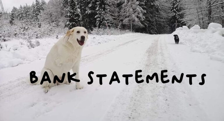 A dog in snow with writing 'bank statements'